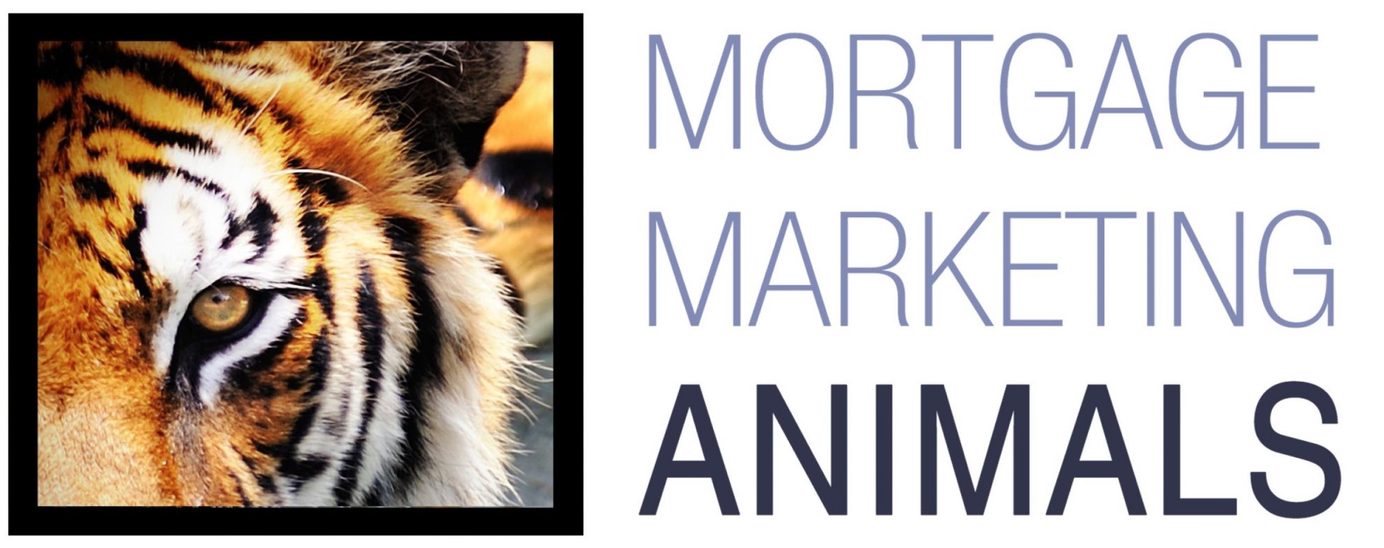 Mortgage Marketing Animals